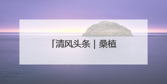 清风头条｜桑植县：精准监督守护群众“养老钱”