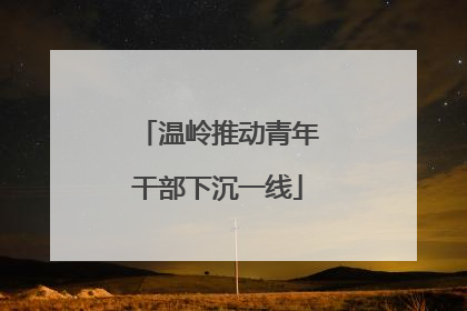 温岭推动青年干部下沉一线