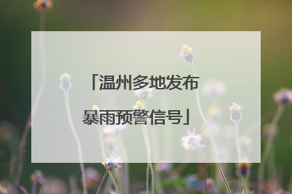 温州多地发布暴雨预警信号
