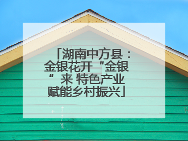 湖南中方县：金银花开“金银”来 特色产业赋能乡村振兴