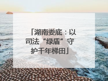 湖南娄底：以司法“绿盾”守护千年梯田