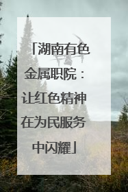 湖南有色金属职院：让红色精神在为民服务中闪耀
