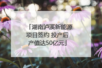 湖南泸溪新能源项目签约 投产后产值达50亿元