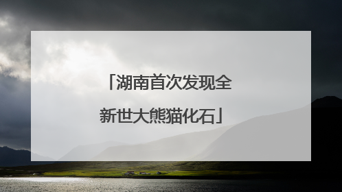 湖南首次发现全新世大熊猫化石