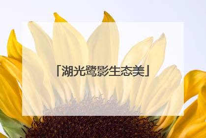 湖光鹭影生态美