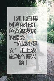 湖北白果树湾依托红色资源发展的蝶变——“抗战小延安”走上农旅融合振兴路