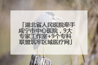 湖北省人民医院牵手咸宁市中心医院，9大专家工作室+9个专科联盟筑牢区域医疗网