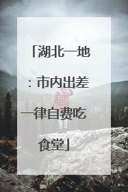 湖北一地：市内出差一律自费吃食堂