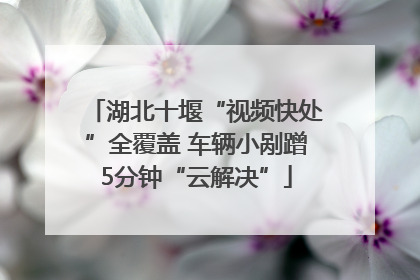 湖北十堰“视频快处”全覆盖 车辆小剐蹭5分钟“云解决”