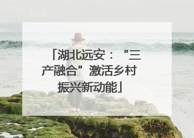 湖北远安：“三产融合”激活乡村振兴新动能