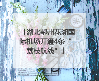 湖北鄂州花湖国际机场开通4条“荔枝航线”