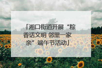 湘口街道开展“粽香话文明 邻里一家亲”端午节活动