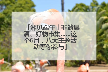 湘见端午丨非遗展演、好物市集……这个6月，八大主题活动等你参与