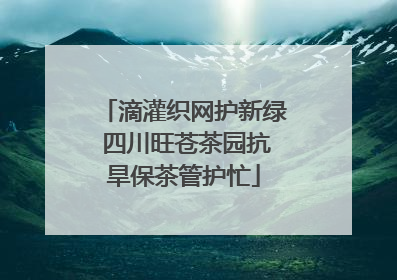 滴灌织网护新绿 四川旺苍茶园抗旱保茶管护忙