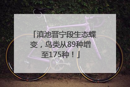 滇池晋宁段生态蝶变，鸟类从89种增至175种！