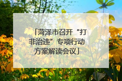 菏泽市召开“打非治违”专项行动方案解读会议