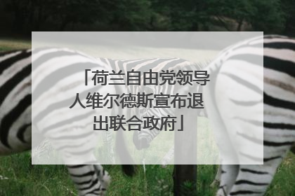 荷兰自由党领导人维尔德斯宣布退出联合政府