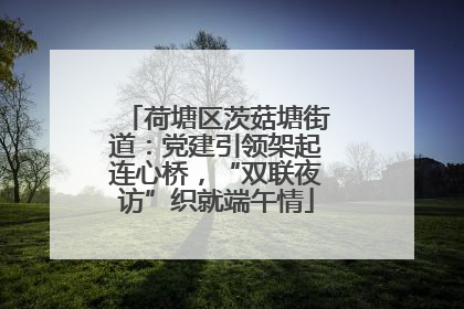 荷塘区茨菇塘街道：党建引领架起连心桥，“双联夜访”织就端午情