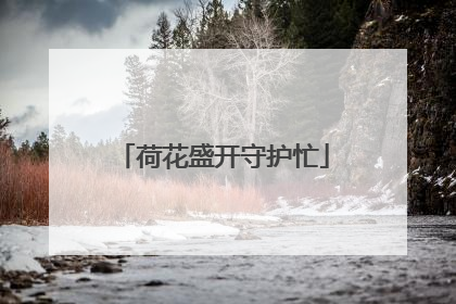 荷花盛开守护忙