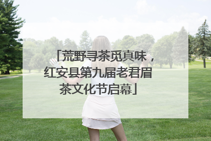 荒野寻茶觅真味，红安县第九届老君眉茶文化节启幕