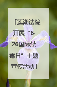 莲湖法院开展“6·26国际禁毒日”主题宣传活动