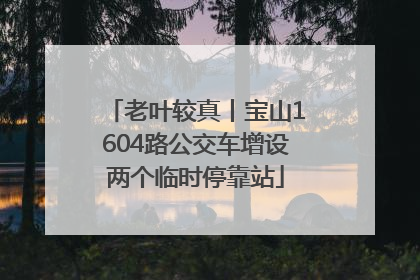 老叶较真丨宝山1604路公交车增设两个临时停靠站