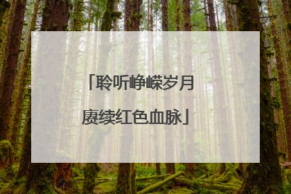 聆听峥嵘岁月 赓续红色血脉