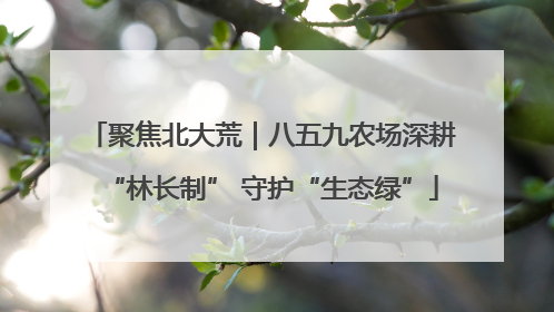 聚焦北大荒｜八五九农场深耕“林长制” 守护“生态绿”