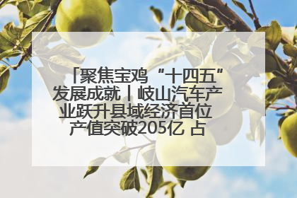 聚焦宝鸡“十四五”发展成就丨岐山汽车产业跃升县域经济首位 产值突破205亿 占规上工业75%