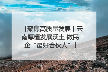 聚焦高质量发展｜云南厚植发展沃土 做民企“最好合伙人”