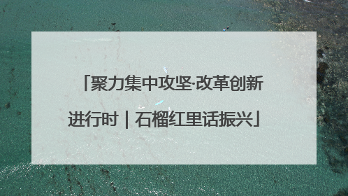 聚力集中攻坚·改革创新进行时｜石榴红里话振兴