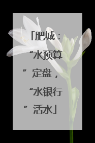 肥城：“水预算”定盘，“水银行”活水