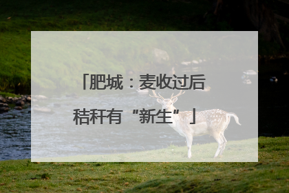 肥城：麦收过后秸秆有“新生”