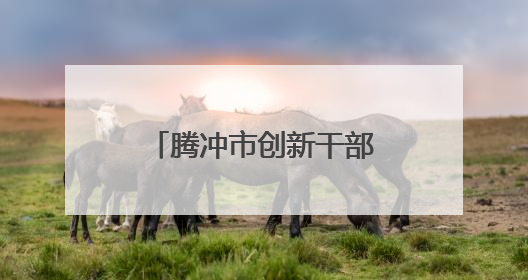 腾冲市创新干部人才流动机制
