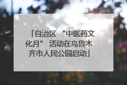 自治区 “中医药文化月” 活动在乌鲁木齐市人民公园启动