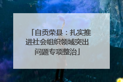 自贡荣县：扎实推进社会组织领域突出问题专项整治