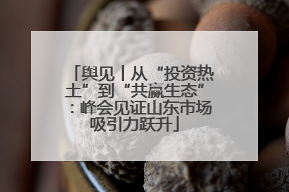 舆见丨从“投资热土”到“共赢生态”：峰会见证山东市场吸引力跃升