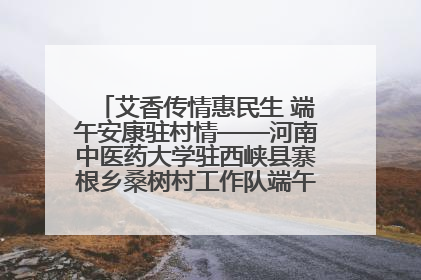 艾香传情惠民生 端午安康驻村情——河南中医药大学驻西峡县寨根乡桑树村工作队端午中医惠民记