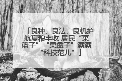 良种、良法、良机护航夏粮丰收 居民“菜篮子”“果盘子”满满“科技范儿”