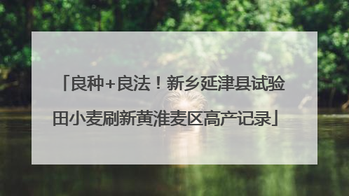 良种+良法！新乡延津县试验田小麦刷新黄淮麦区高产记录