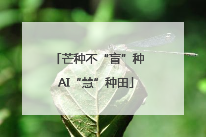 芒种不“盲”种 AI“慧”种田