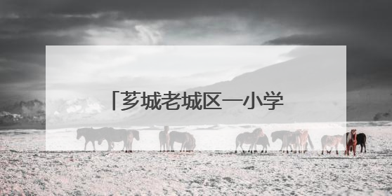 芗城老城区一小学两个校区将调整！