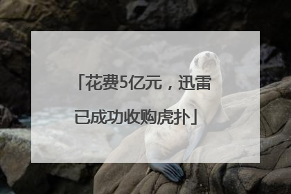 花费5亿元，迅雷已成功收购虎扑