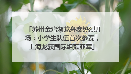 苏州金鸡湖龙舟赛热烈开场：小学生队伍首次参赛，上海龙获国际组冠亚军