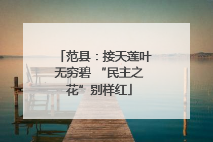范县：接天莲叶无穷碧 “民主之花”别样红