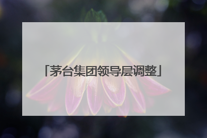 茅台集团领导层调整