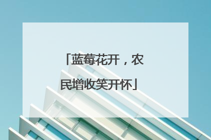 蓝莓花开，农民增收笑开怀