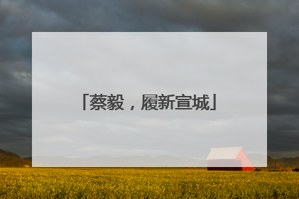 蔡毅，履新宣城