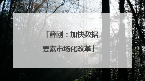 薛刚：加快数据要素市场化改革