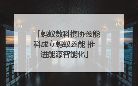 蚂蚁数科携协鑫能科成立蚂蚁鑫能 推进能源智能化